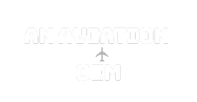An Aviation OEM An Aviation OEM
